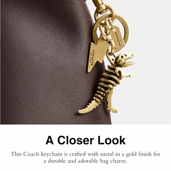 Coach Small Rexy 3D Skeleton Bag Charm Keychain in Brass NEW - Picture 15 of 16